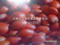 供应九江林木种子红豆树
