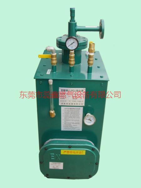 西安30公斤液化气电热式气化炉生产批发