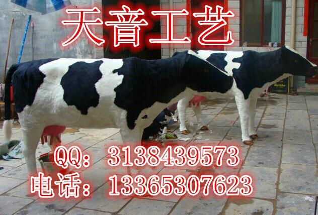 供应照相奶牛仿真奶牛模型天音奶牛 儿童体验馆展示道具 真皮11大奶牛