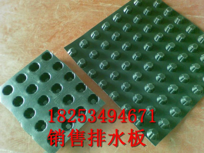 供应山东陵县华龙排水板的技术指标18253494671