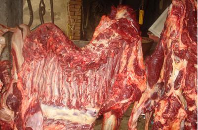 供应上海驴肉购买/上海驴肉订购/上海驴肉订购价格