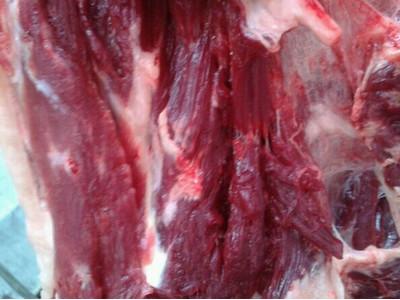 供应苏州驴肉供应/苏州驴肉供应批发/苏州驴肉供应价格