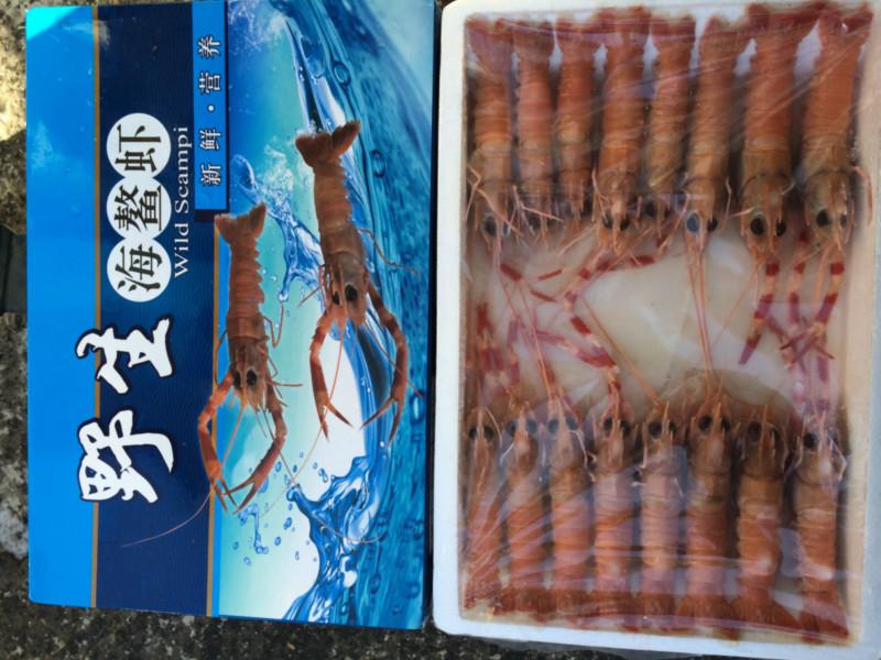 供应进口印尼野生海鳌虾