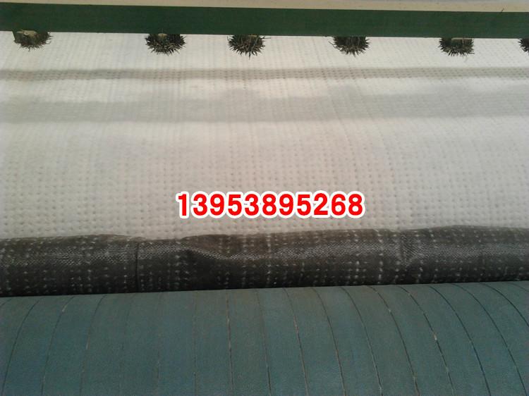 供应天然膨润土防水毯生产厂家山东泰山金驰华易工程材料有限公司