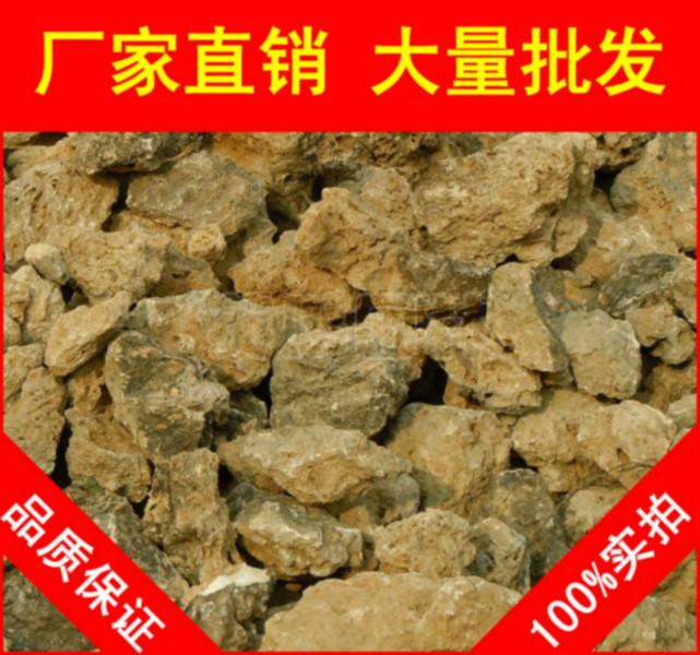 供应用于园林景观石的吸水石，惠州高端别墅吸水石，景观石大量批发图片