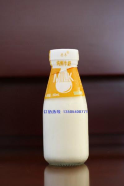 供应农科院瓶装纯鲜鲜牛奶