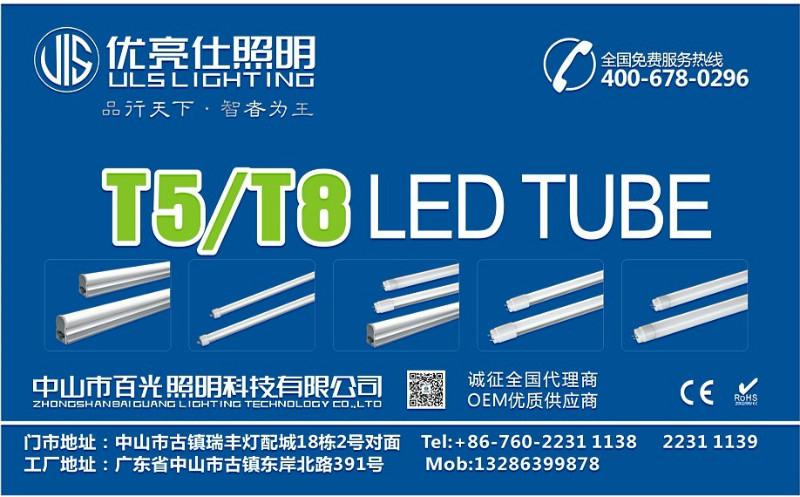 供应高端LED日光灯管   欧式树脂吸顶灯