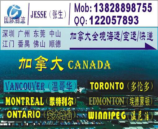 深圳市深圳到加拿大多伦多的国际海运公司厂家供应深圳到加拿大多伦多的国际海运公司