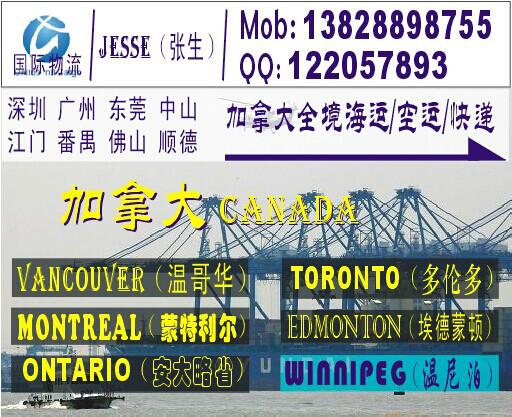 深圳到加拿大多伦多的国际海运公司供应深圳到加拿大多伦多的国际海运公司