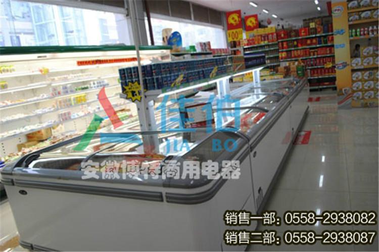 供应临泉超市大型冷冻柜进口食品保鲜柜