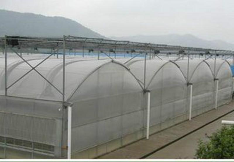 供应保定温室大棚 保定温室大棚，河北文志刚农业开发