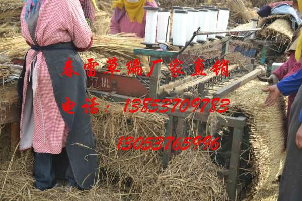 供应山东草苫子的价格，内蒙古草绳草袋草帘子，杭州市草帘子生产厂家，哪里有卖草帘子