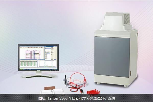 Tanon5500全自动化学发光图像批发
