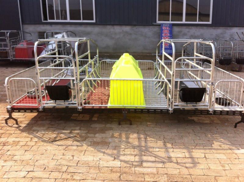 沧州市养猪设备加重产床厂家供应养猪设备加重产床 分娩床 单体母猪产床 养猪设备