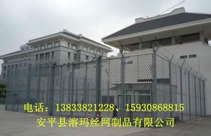 衡水市监狱隔离网厂家