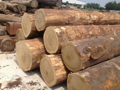供应上海的柚木原木多少钱一吨问上海涵金木业18616318785