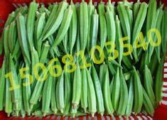 供应北京绿色菜黄秋葵基的价格/红秋葵鲜果批发