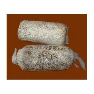 供应山东蘑菇袋最新报价/蘑菇袋价格/蘑菇袋供货商
