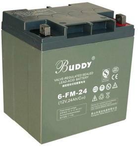 供应宝迪蓄电池6-FM-24/12V24AH阀控式铅酸蓄电池价格