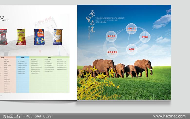 供应长沙画册设计公司 长沙宣传册设计长沙产品册设计长沙产品目录设计