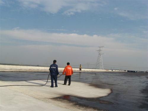 供应浙江道桥专用防水涂料 路桥弹性沥青供应商