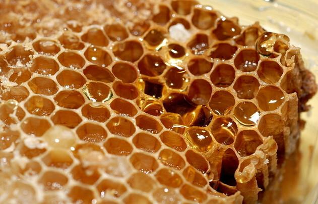 供应蜂蜜高浓度蜂蜜俄罗斯蜂蜜俄罗斯蜂蜜俄罗斯蜂蜜批发蜂蜜批发图片
