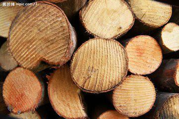 供应上海木材进口清关手续美瑞迩专注于木材进口清关、木材进口申报、木材进口报检、木材进口清关报关、木材进口仓储物流为服务中