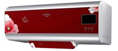 速热式热水器DSZF-A16-25明皇批发