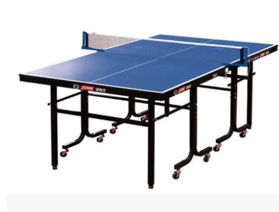供应乒乓球桌小型迷你折叠家用儿童乒乓球桌TM616