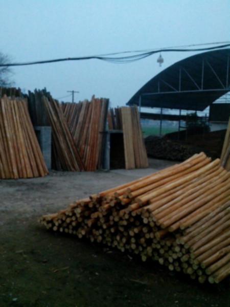 供应用于木基层的荆州杉木原木批发