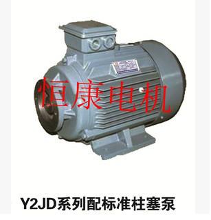 供应 标准柱塞泵配套电机