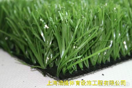 上海市足球场人造草厂家
