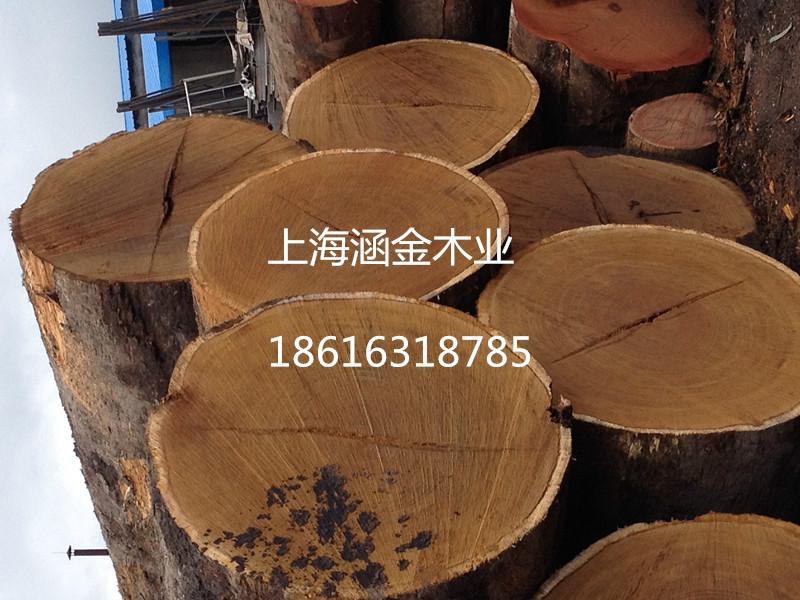 供应用于家具的山樟原木，山樟进口原木，上海山樟木防腐木厂家