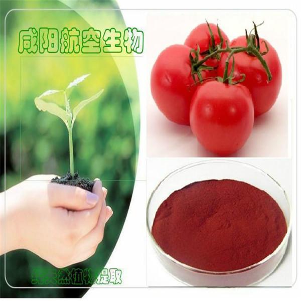 供应番茄红素5%，番茄提取物作用，药用级