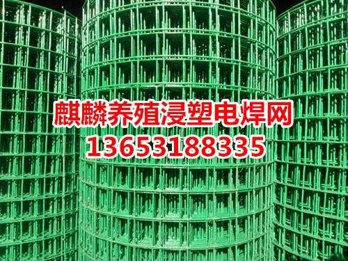 供应1/4电焊网钢丝网浸塑电焊网 1/4电焊网/浸塑电焊网