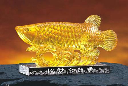 供应用于养殖观赏鱼|养殖鱼苗|垂钓黄金鱼的黄金鱼苗批发黄金鱼价格黄金鱼出售