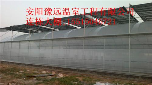 安阳市优质蔬菜温室大棚建造厂家