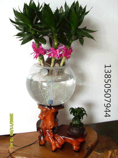 供应水培专用玻璃瓶，水培花卉，灯光氧气花瓶，凯奇盆艺专利花瓶