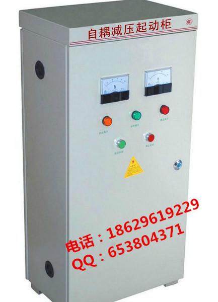 供应高压鼠笼式液阻起动柜400KW/10KV丨笼型液阻起动柜丨高压电机起动柜