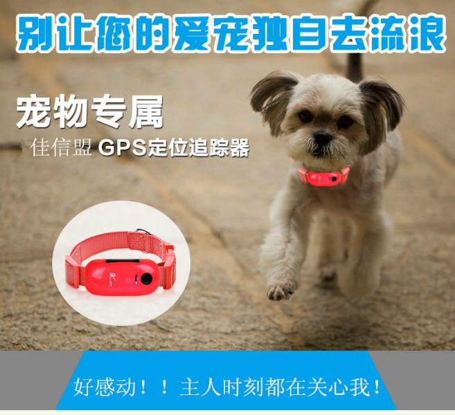 宠物GPS定位追踪器厂家批发