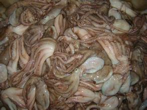 供应精品印度冷冻章鱼质量好服务周到全国配送图片