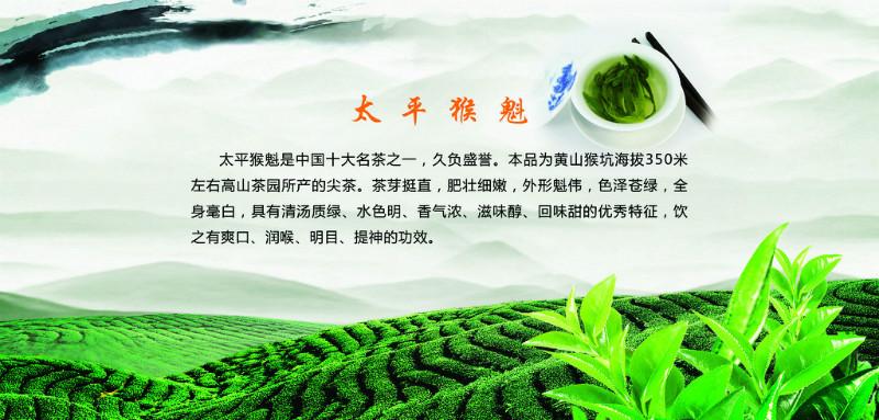 国宝绿茶太平猴魁/基地直供批发