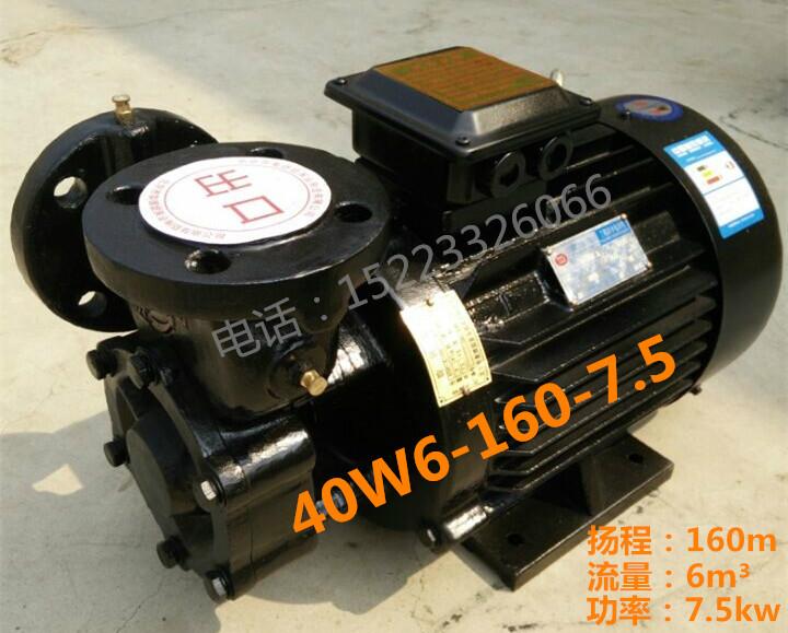 供应旋涡泵 7.5kw旋涡泵 增压泵 高压泵 锅炉泵 铜叶轮 漩涡泵