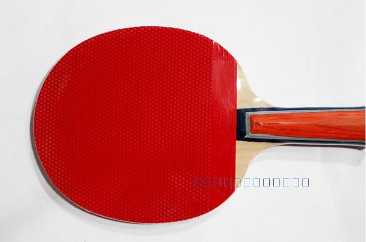 正品DHS红双喜A1003乒乓球球拍批发