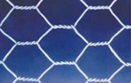 供应镀锌六角网PVC六角网拧花网