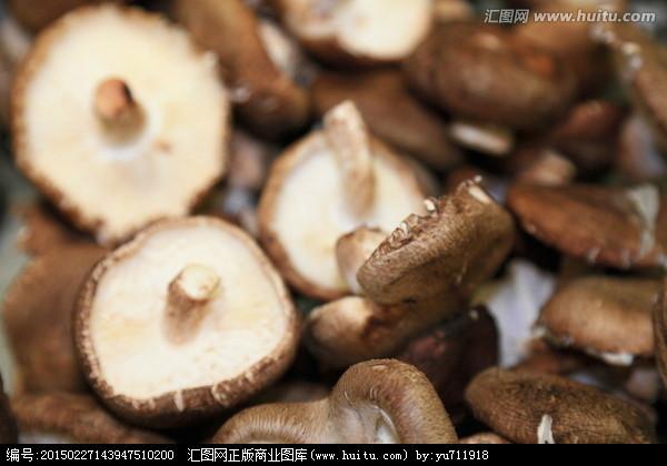 供应北京野生鸡油菌多少钱一斤 黑虎掌 松茸等一斤也批发