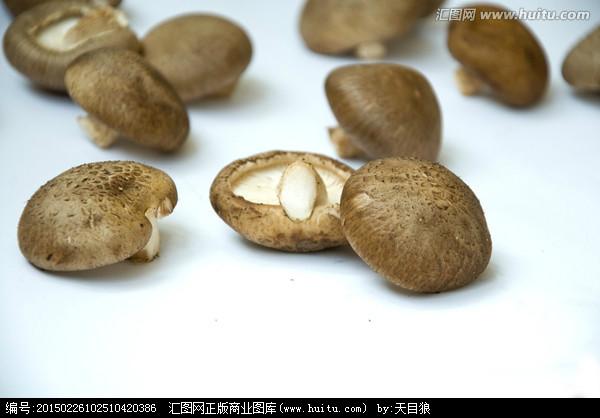 北京野生鸡枞菌多少钱一斤批发