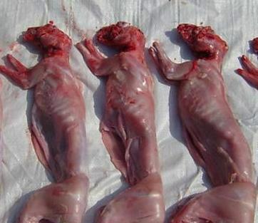 供应用于食材的山西省太原市兔肉供应商批发零售