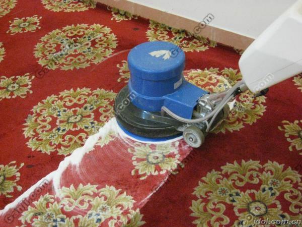 成都市武侯区保洁公司专业沙发清洗厂家