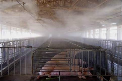 供应畜牧喷雾降温高压喷雾除臭系统高压雾化除臭设备